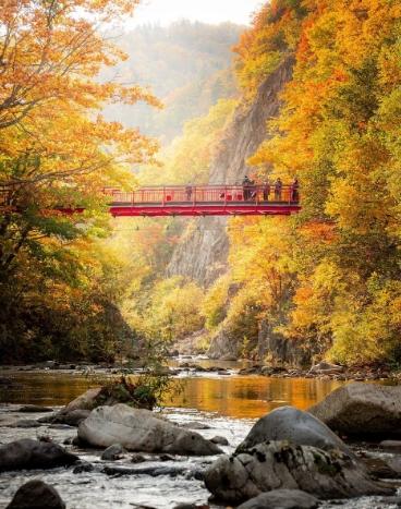 定山溪楓葉時間