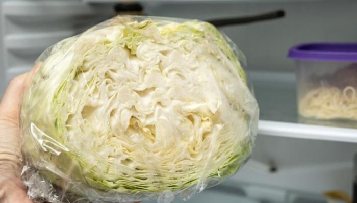 高麗菜冷凍保存 高麗菜冷凍保存