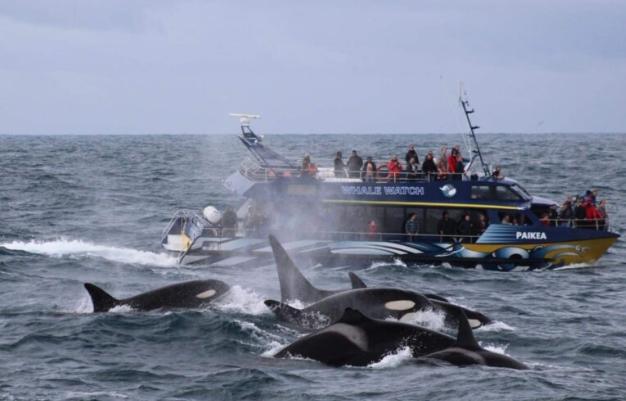 新西兰南岛必去景点 新西兰南岛必去景点