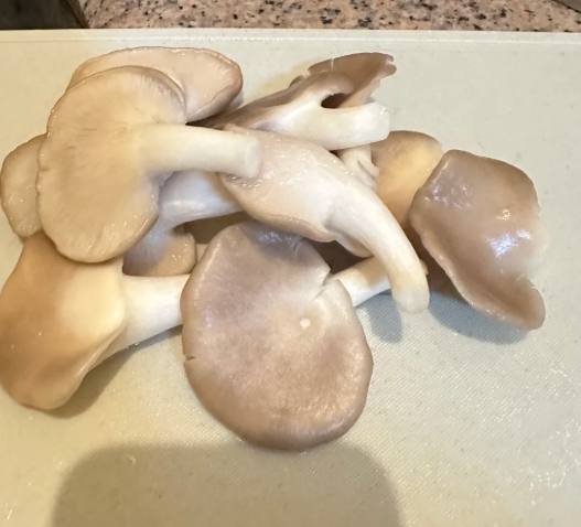 秀珍菇保存方法 秀珍菇保存方法