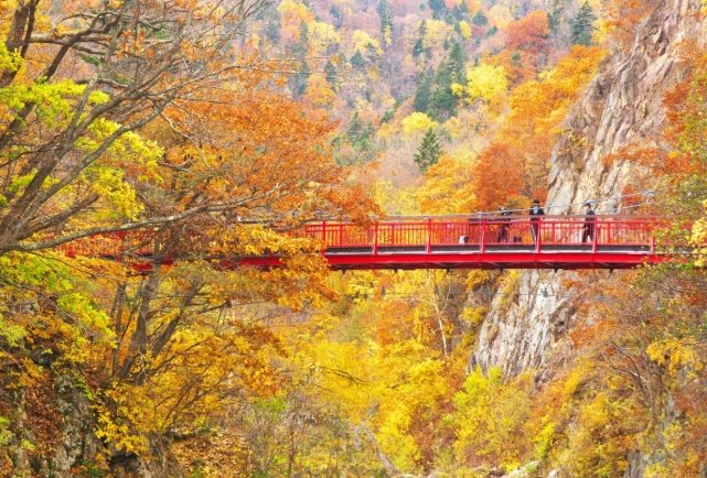 定山溪溫泉交通