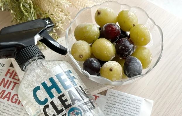 蔬果清潔劑效果 蔬果清潔劑效果