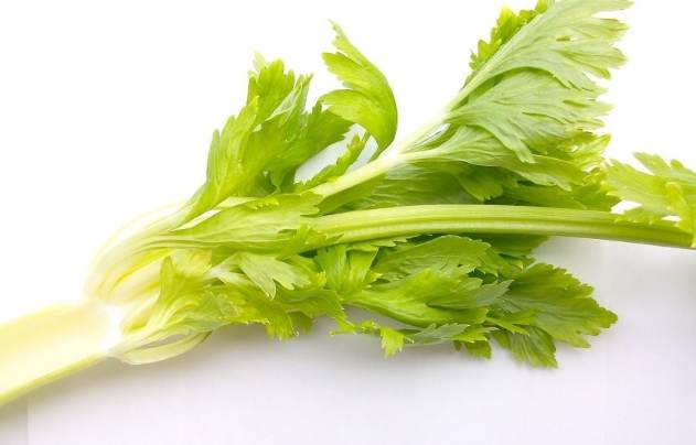 芹菜副作用 芹菜副作用