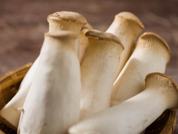 杏鮑菇食用禁忌 杏鮑菇食用禁忌