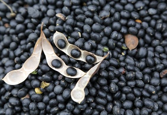 生理期飲食禁忌 生理期飲食禁忌