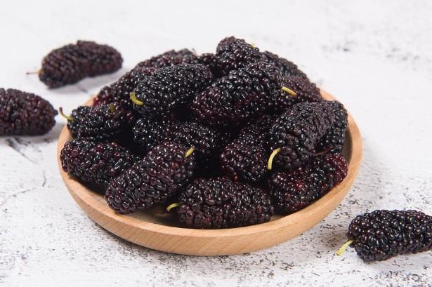 桑葚副作用 桑葚副作用