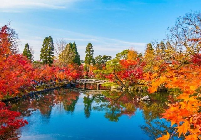 南禪寺觀楓 南禪寺觀楓