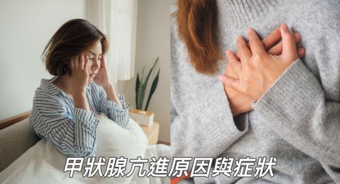 甲狀腺亢進 面包選擇 甲狀腺亢進 面包選擇