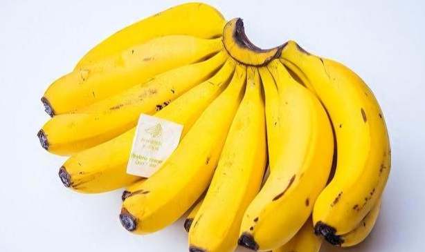 脂肪肝香蕉