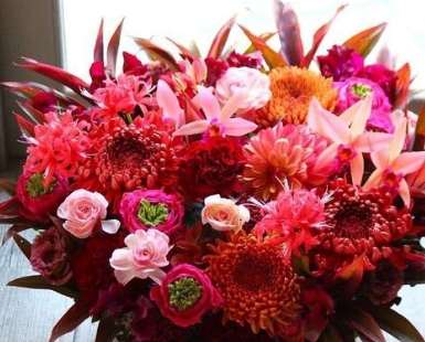 代表友誼的花 代表友誼的花