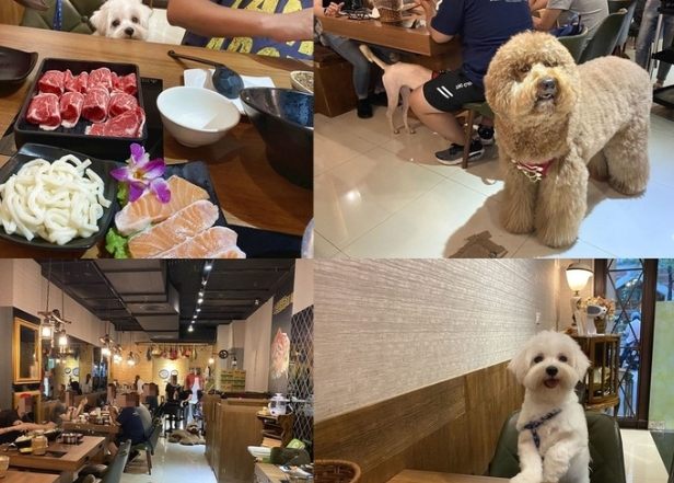 中山站寵物友善餐廳