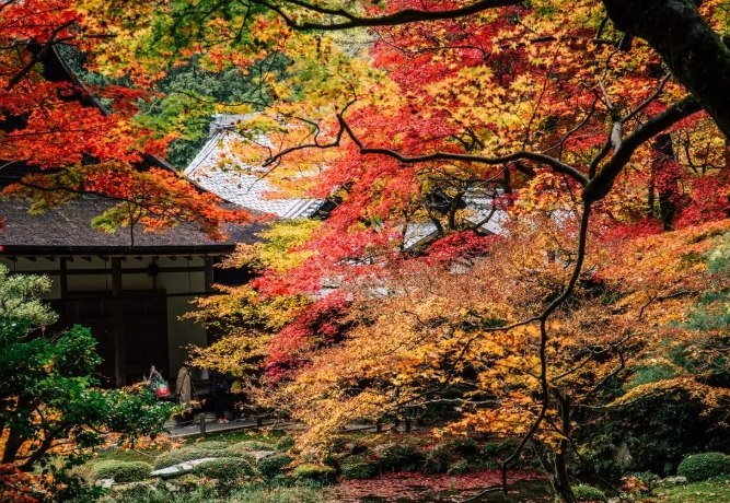 京都南禪寺餐廳 京都南禪寺餐廳