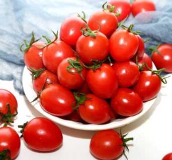 小番茄種植技巧