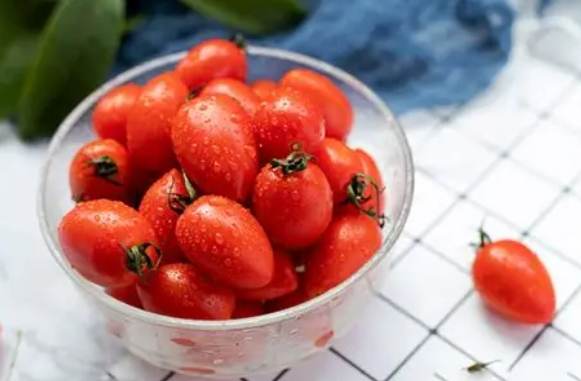 運動後飲食小番茄 運動後飲食小番茄