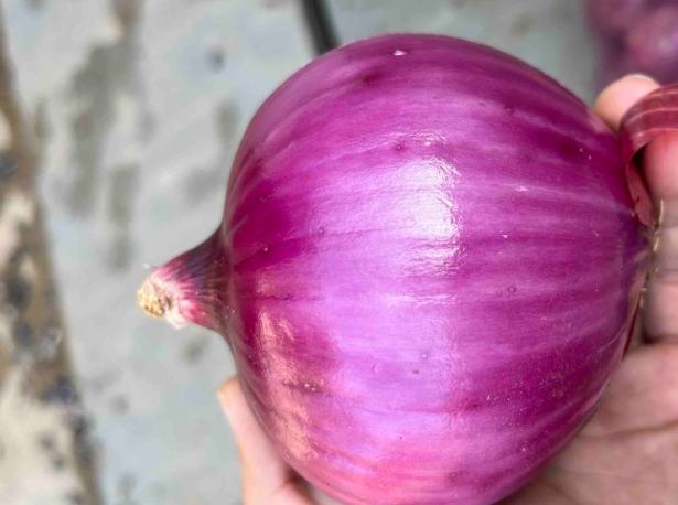 高鉀食物排行榜 高鉀食物排行榜