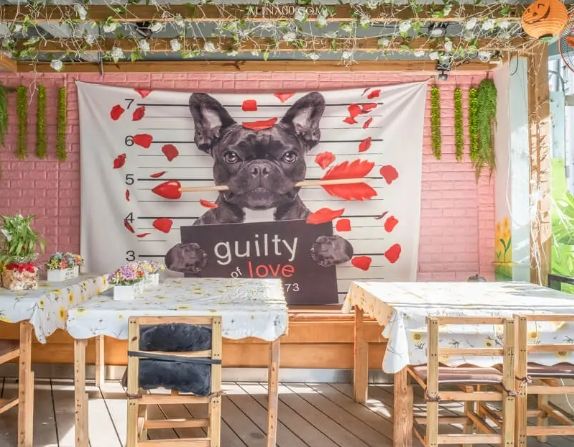 寵物友善餐廳推薦