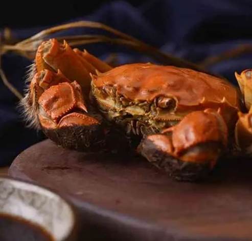 螃蟹飲食禁忌