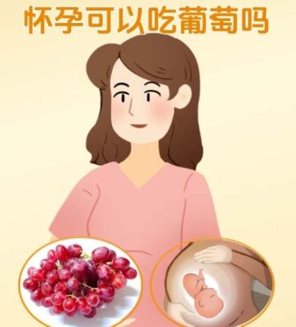 孕婦可以吃葡萄嗎