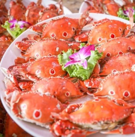 野柳地質公園美食