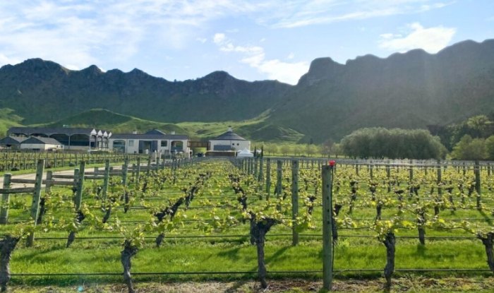 紐西蘭酒莊之旅