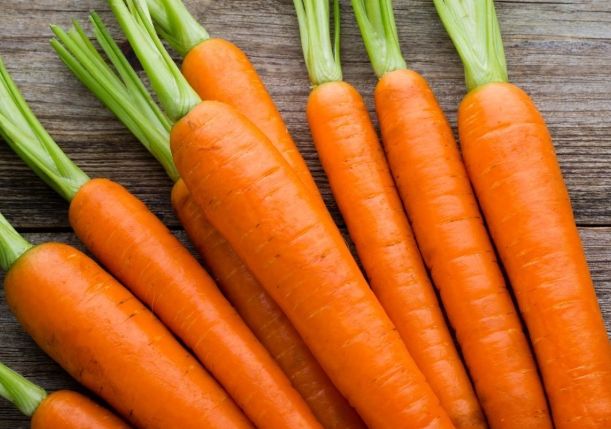 紅蘿蔔功效與禁忌