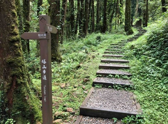 大塔山路線難度 大塔山路線難度