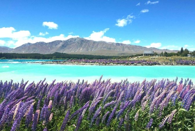 紐 西 蘭 私房景點