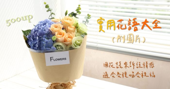 重生希望花語 重生希望花語