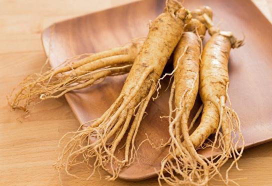 高麗參食用安全 高麗參食用安全