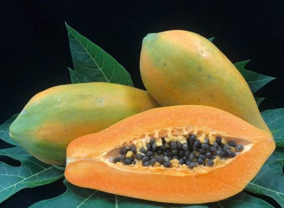 食物搭配注意 食物搭配注意