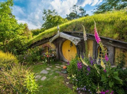 紐西蘭北島自駕遊