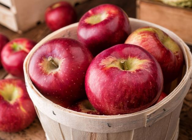 蘋果對氣喘的影響 蘋果對氣喘的影響