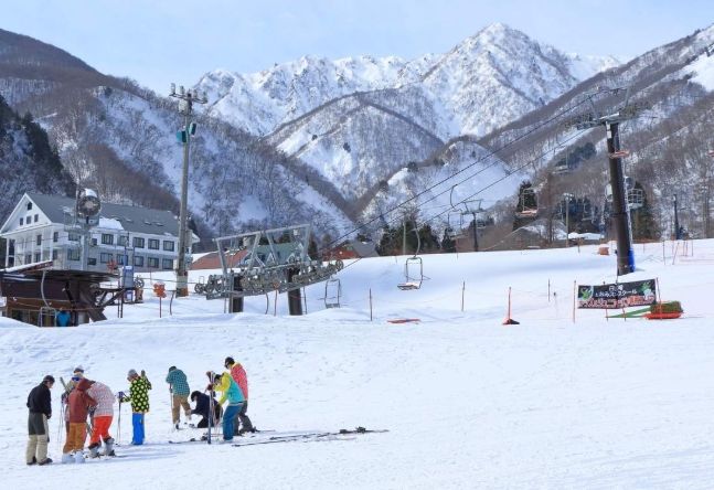 白馬滑雪場比較 白馬滑雪場比較