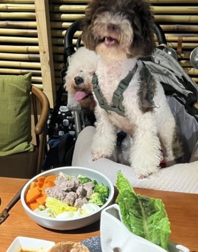 寵物友善購物中心