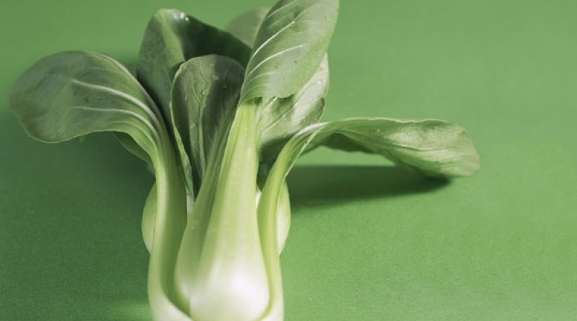 青江菜食用禁忌 青江菜食用禁忌