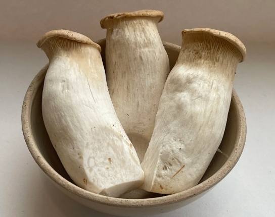 杏鮑菇保鮮方法 杏鮑菇保鮮方法