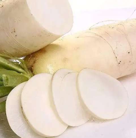 白蘿蔔食物相剋 白蘿蔔食物相剋