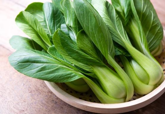 青江菜食用禁忌 青江菜食用禁忌