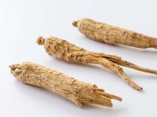 高麗參食用安全 高麗參食用安全