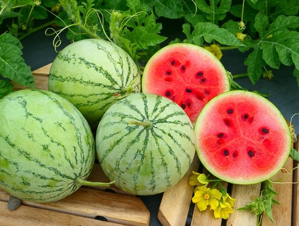 生理期水果禁忌 生理期水果禁忌