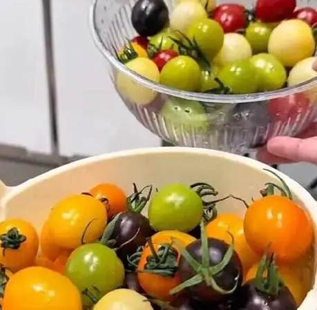 小番茄種植技巧 小番茄種植技巧