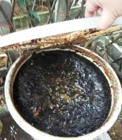 自製有機肥料方法 自製有機肥料方法