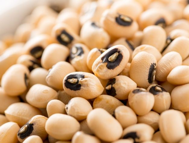 食物搭配禁忌 食物搭配禁忌