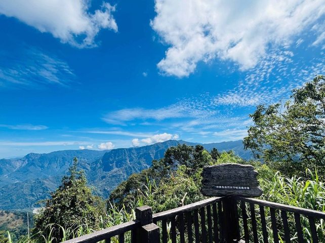 台南大凍山 台南大凍山