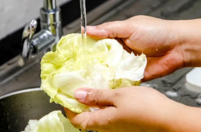 高麗菜清洗保存