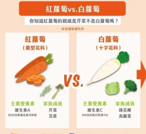 紅蘿蔔白蘿蔔一起吃壞處 紅蘿蔔白蘿蔔一起吃壞處