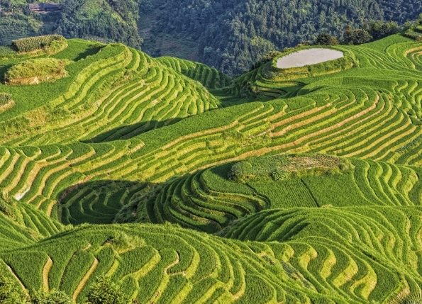 桂林旅遊攻略 桂林旅遊攻略