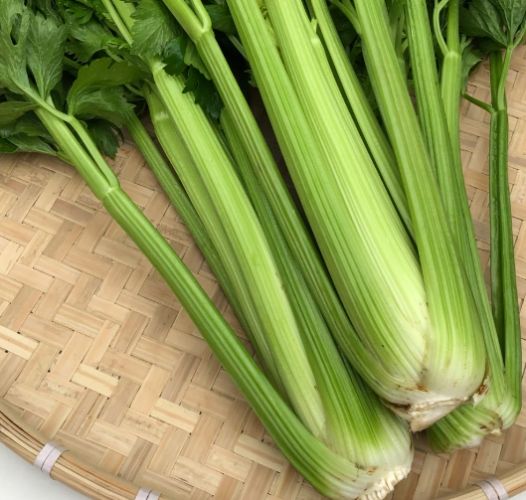 西芹寒涼體質 西芹寒涼體質