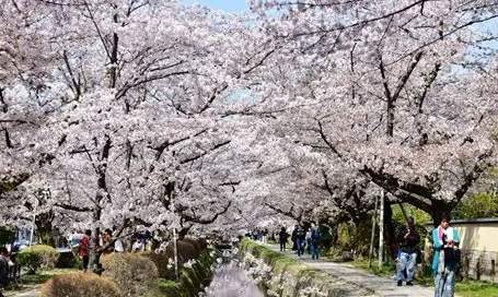 京都南禪寺怎麼去 京都南禪寺怎麼去