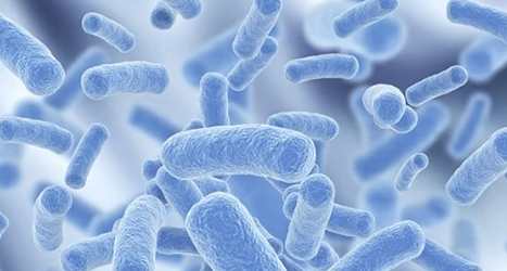 腸躁症飲食 腸躁症飲食